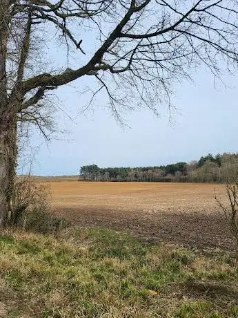 Photo de Southey Wood
