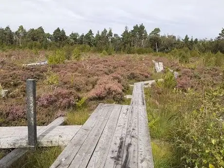Photo de Scohaboy Bog Walk - Loop of Laghile and Loughaun National Trail