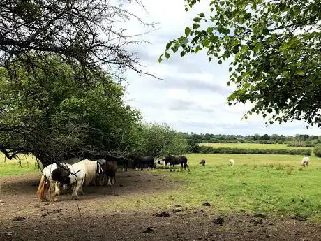 Photo of Lydiard Park