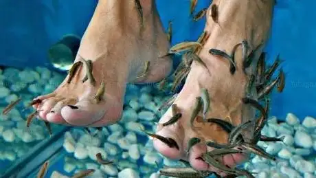 Photo of Fish spa Piran