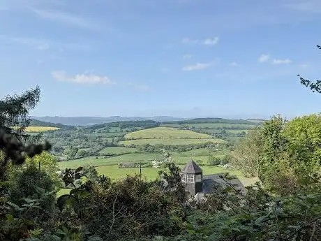 Devil's Glen Wood