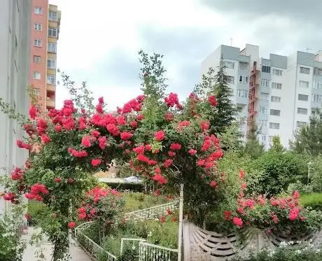Photo de Zeybekler Parkı Burası halka açık Park tır. İşletme yok...