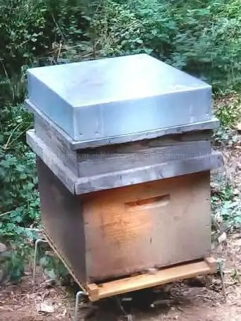 Photo of La Folie De Finfarine