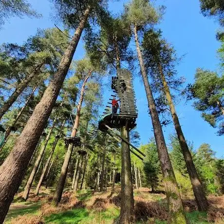 Zipit Forest Adventures