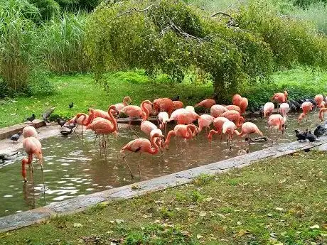 Photo of Ménagerie du Jardin des plantes