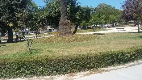 Photo de Coronel Pacheco's Square