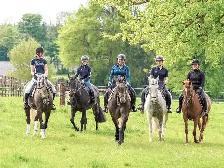 Bachelors Lodge Equestrian Centre