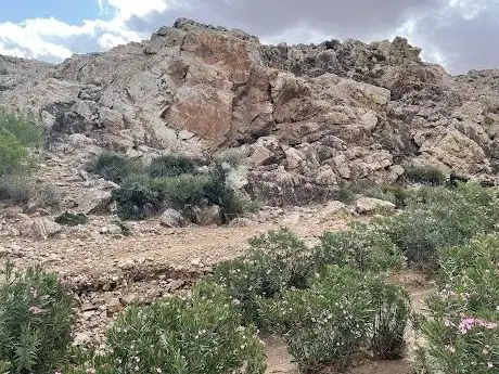 Photo de جندوبة