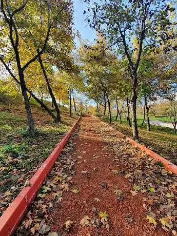 Photo de vadi park