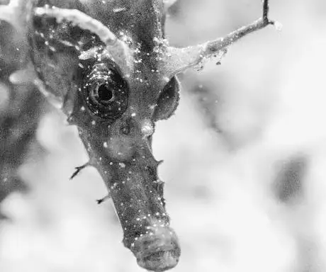 Photo of Triton Diving