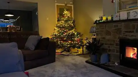 Photo de Stacey's Christmas Tree Farm