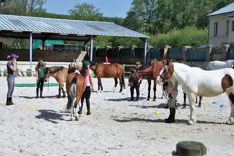Photo de Centre Équestre Poney-club de Rambouillet