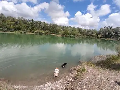 Photo of Lac de Noves