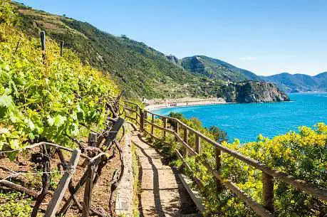 Photo de Parc national des Cinque Terre