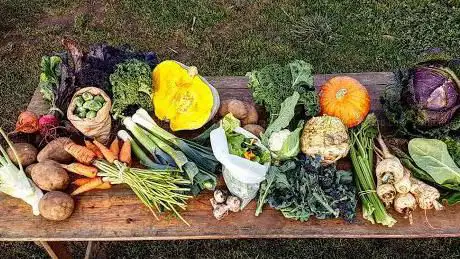 Photo de East Neuk Market Garden