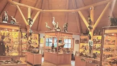 Photo of Naturerlebnis Bruckmühl