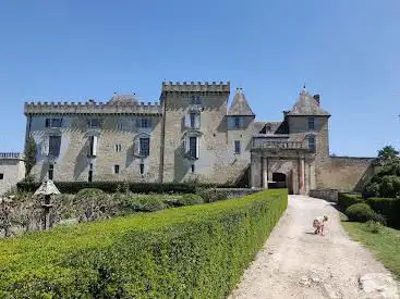 Photo de Château de Vayres