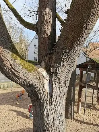 Photo de Spielplatz Seelgasse