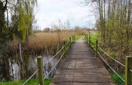Photo de Provinciaal Overstromingsgebied Jutse Plassen