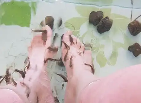 Photo de Les poissons docteurs de Marie
