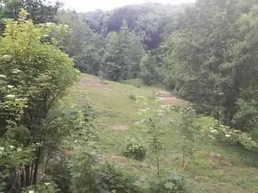 Photo de Sentiero per Oropa