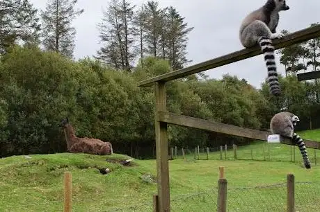Photo de Coolwood Wildlife Park and Zoo