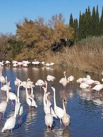 Photo of Skatepark - Pump Track Le Muy