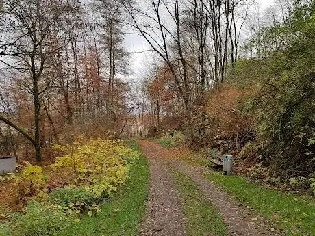 Photo de Dürerhalde
