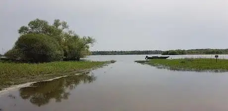 Photo de Observatoire Ornithologique du Lac de Grand-Lieu