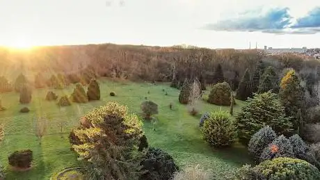 Photo de Arboretum de Conifères