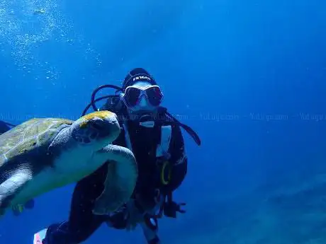 Photo de Blue Bottom Diving