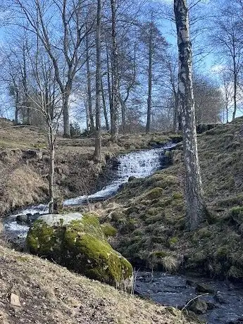 Photo de Djupadalen i Karleby