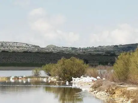 Photo de Observatorio Ornitológico