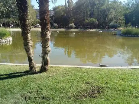 Photo de Miradores Park