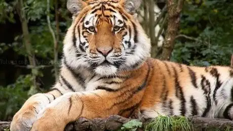 Photo of Zoo de Münster