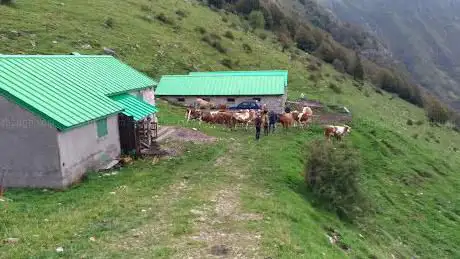Photo de Malga Ungarina