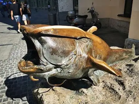 Photo de Wels Catfish