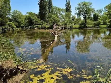 Photo de Froschteich Park