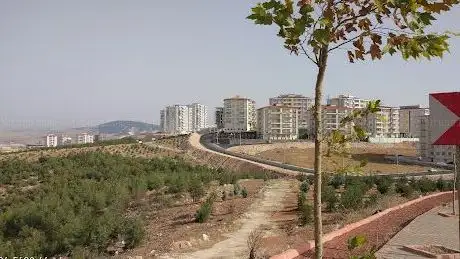 Photo de Park