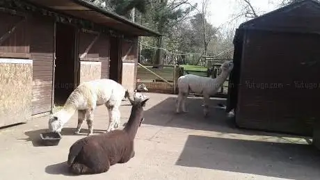 Photo of Walton Hall and Gardens