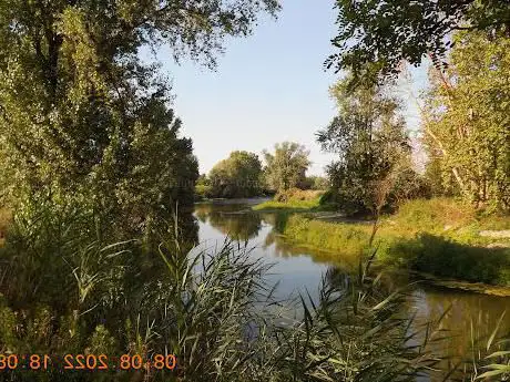 Photo de FAUNA E FLORA FEL PARCO DEL SERIO