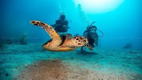 Photo de Cave Divers Center