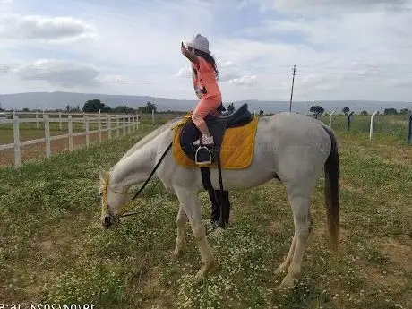 Photo de Aydın Atlı Spor Kulübü