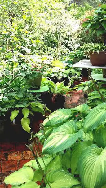 Foto de Le Jardin de Chantal