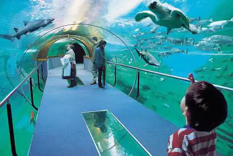 Photo de Aquarium