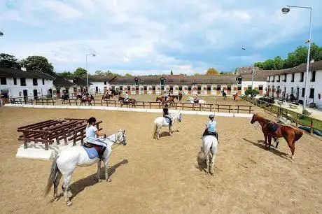 Photo de Centre Hippique de Maisons Laffitte