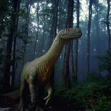 Photo of Grottes et Préhisto-Parc