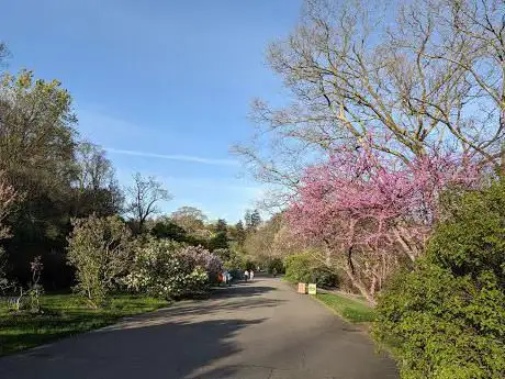 Photo de Arboretum Arnold