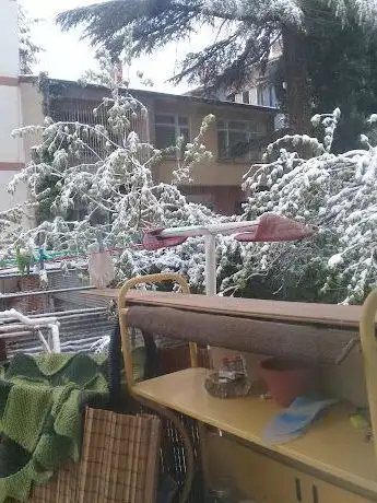 Photo de Küçük Park