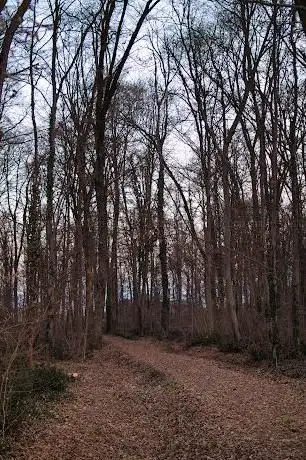 Photo de Bosco di Cavalier